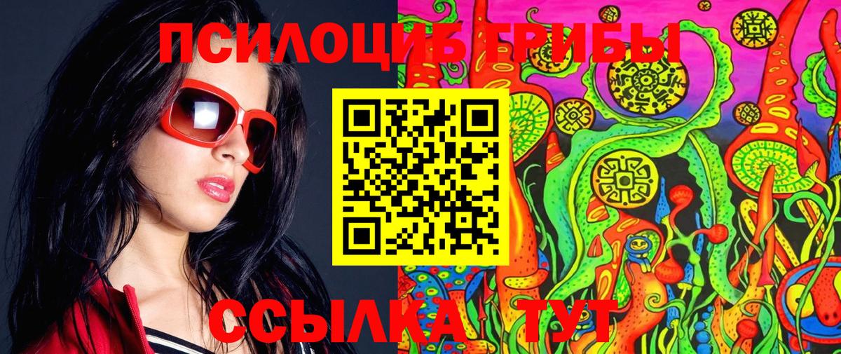 Псилоцибиновые грибы Psilocybe Геленджик